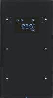 Berker 75642055 Touch Sensor, 2-канальный с регулятором температуры помещения, R.3, черный, цвет: Чёрный