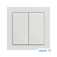 Ekinex EK-T2R-FGE Клавиша "71" прямоугольная вертикальная, 2 шт, материал - Fenix NTM, цвет - Серый Эфес