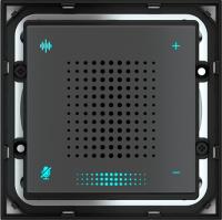 Ekinex EK-VA2-WL Голосовой помощник