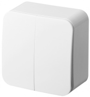 Jasmart Electric FS3023W Двухклавишный  выключатель, накладного монтажа, (цвет белый), 10AX 250V~, FS3023W