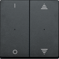 Schneider MTN625614 Клавиша для модуля 2-кнопочного выключателя, SM, цвет: Антрацит, оттенок: Матовый, RAL 7024