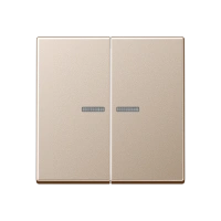 Jung A 595 KO5 CH Kлавиша с окошком, duroplastic lacquered, Серия A, цвет шампанского