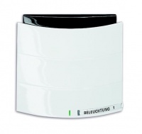 ABB 6320/10-24G-500 Сенсор 1/2-клавишный с ИК-приемником, triton, альпийский белый, цвет: Белый, оттенок: Альпийский