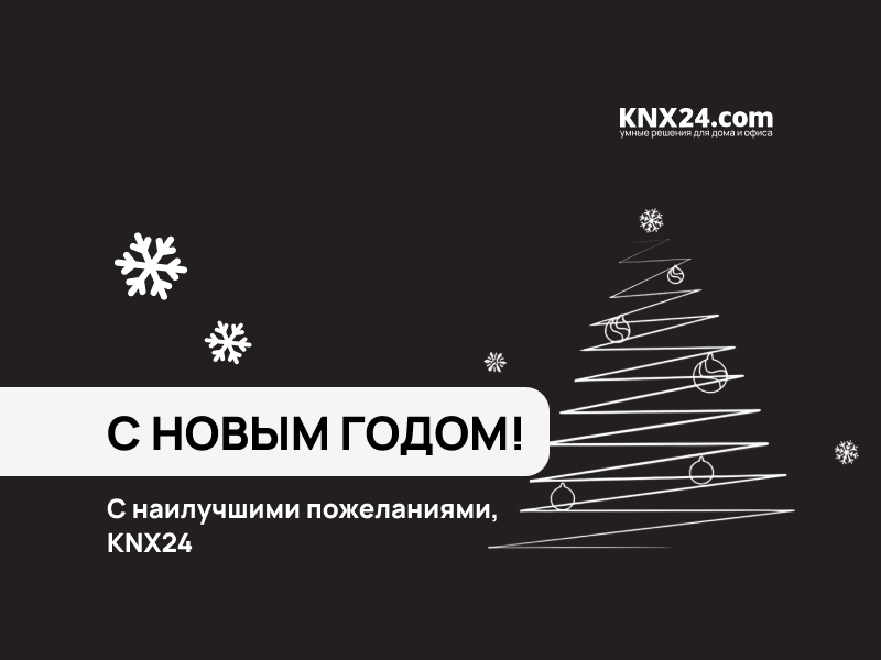 С Новым Годом 2025!
