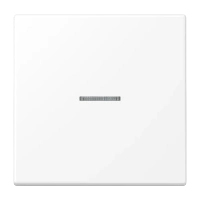 Jung LS 990 KO5 WWM Kлавиша с окошком, Дюропласт лакированный, Серия LS, белоснежный матовый