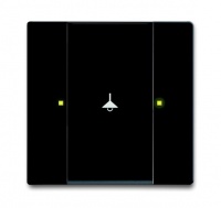 ABB 6125/02-885-500 Сенсор 1/2-клавишный, чёрный бархат, цвет: Чёрный, оттенок: Бархат