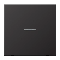 Jung AL 2990 KO5 D Kлавиша с окошком, aluminium laquered, Серия LS, dark