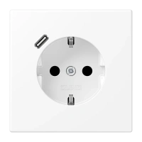 Jung LS 1520-18 C WWM SCHUKO®-розетка 16 A 250 В ~, с зарядным устройством USB 1 x тип C, с дополнительной защитой,, Серия LS, белоснежный матовый