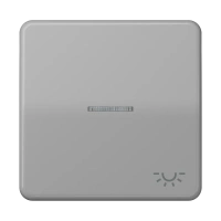 Jung CD 590 KO5L GR Kлавиша с окошком, символ «освещение», duroplastic, Серия CD, серый