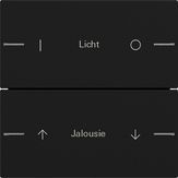 Gira 5762005 Набор клавиш двойн., индивидуально для сенсорного выключателя 4 System 55