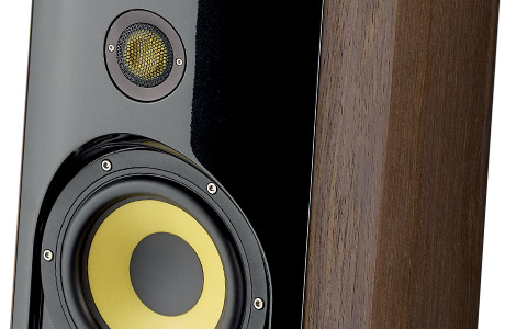 Focal-jmlab 216414 Напольная акустика Focal Spectral 40th Walnut, цвет: Темно - коричневое дерево