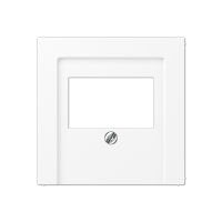 Jung A569BFPLTWWM Накладка на USB зарядные устройства и TAE-розетки; с видимым винтом; термопласт; белый матовый