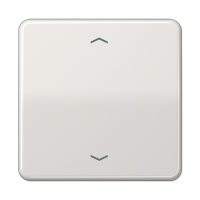 Jung CD 101 P LG Клавиша с символами «стрелки»