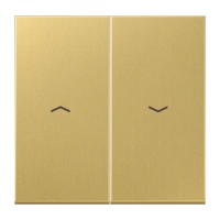 Jung ME 2995 P C Kлавиша, с символам «стрелки», Латунь, Серия LS, латунь Classic