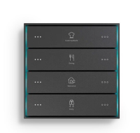 Citron SWRENMBL Умный выключатель KNX RE-new Meteor black-L SC-TK2-4.8