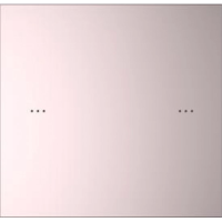 Letour LY/KK0110T10STPSGO Выключатель Т10, 1-клавишн., встр. реле, пластик, квадр., золотой