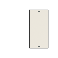 Jung A402TSAP Двухклавишная крышка для KNX, 1 часть, цвет: Белый, оттенок: Слоновая кость
