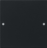 Gira 2181005 Комплект клавиш, 1 шт., цвет: Чёрный, оттенок: Матовый, лакированный