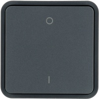 Berker 30423545 Клавиша с оттиском «0 - I», цвет: Серый, оттенок: Матовый