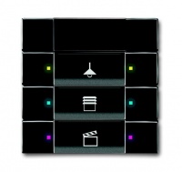 ABB 6129/01-81-500 Сенсор 3/6-клавишный, ИК-приёмник, антрацит, цвет: Антрацит