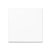 Jung A 590 BF WW Kлавиша, thermoplastic, Серия A, white