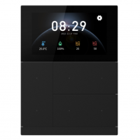 GVS CHTFB-3.0/6.1.21 Комбинированный выключатель Waltz, металл черный