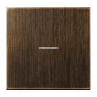 Jung ME 2990 KO5 AT Kлавиша с окошком, Латунь, Серия LS, латунь Antik