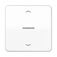 Jung CD 101 KO5P WW Клавиша с окошком и с символами «стрелки»