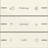 Gira 576301 Набор клавиш тройн., индивидуально для сенсорного выключателя 4 System 55