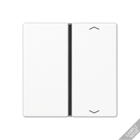 Jung A401TSAPANM Клавиша, 1 группа, цвет: Антрацит, оттенок: Матовый