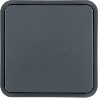 Berker 6130763545 Клавиша, цвет: Серый, оттенок: Матовый