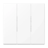 Jung LS 993 BF WWM Клавиша, тройная, Лакированный термопласт, Серия LS, белоснежный матовый
