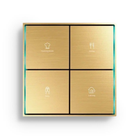 Citron SWRENGGS Умный выключатель KNX RE-new Glacier gold-S SC-TK2-4.8