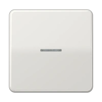 Jung CD 590 KO5 LG Kлавиша с окошком, duroplastic, Серия CD, светло-серый