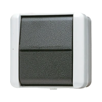 Jung 806 W Выключатель одноклавишный, универсальный (проходной), 10 AX 250 В ~, IP 44, WG 800