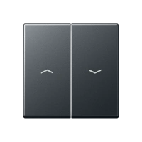 Jung A 595 BF P ANM Kлавиша, с символам «стрелки», thermoplastic lacquered, Серия A, матовый антрацит