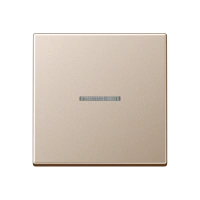 Jung A 590 KO5 CH Kлавиша с окошком, duroplastic lacquered, Серия A, цвет шампанского