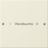 Gira 220101 Набор клавиш 1-местный,  ГРАВИРОВКА, цвет: Белый, оттенок: Глянцевый, кремовый