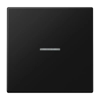 Jung LS 990 KO5 SWM Kлавиша с окошком, Дюропласт лакированный, Серия LS, матовый чёрный графит