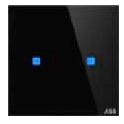 ABB TB/U2.5.1-CG Сенсор Tacteo 2-кнопочный, 86х86, горизонтальный, цвет: Чёрный