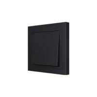 Zennio 830001705 ZS55. Заглушка для одинарного выключателя 55x55 мм - антрацит