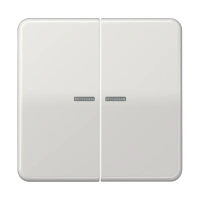 Jung CD 595 KO5 LG Kлавиша с окошком, duroplastic, Серия CD, светло-серый