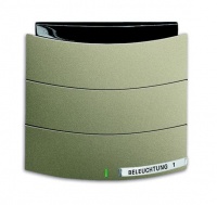 ABB 6320/10-260-500 Сенсор 1/2-клавишный с ИК-приемником, triton, паладий, цвет: Палладий