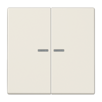 Jung LS 10921 ST RF KNX RF кнопка, 2 группы, Цвет: Бежевый, оттенок: Слоновая кость
