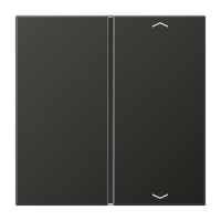 Jung AL 2401 TSAP AN Накладка, 1-ная с символами «стрелки»