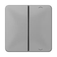 Jung CD 401 TSAP GR Накладка, 1-ная с символами «стрелки»