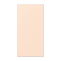 Jung LC 50 NA226 Накладка в цвет клавиш, Цвет: Оранжевый, оттенок: Бледный