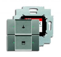 ABB 6126/01-803-500 Сенсор 2-клавишный с коплером в комплекте, метеор, цвет: Серый, оттенок: Металлик