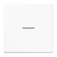 Jung LS 990 KO5 WW Kлавиша с окошком, duroplastic, Серия LS, белый