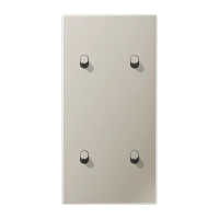 Jung ES 12-25 R 1 Центральная плата с тумблером «цилиндр», два сдвоенных тумблера, вертикально, Серия LS 1912, нержавеющая сталь